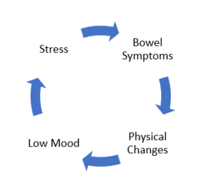 IBS Bowel Symptoms, stress, physical Changes, Low Mood